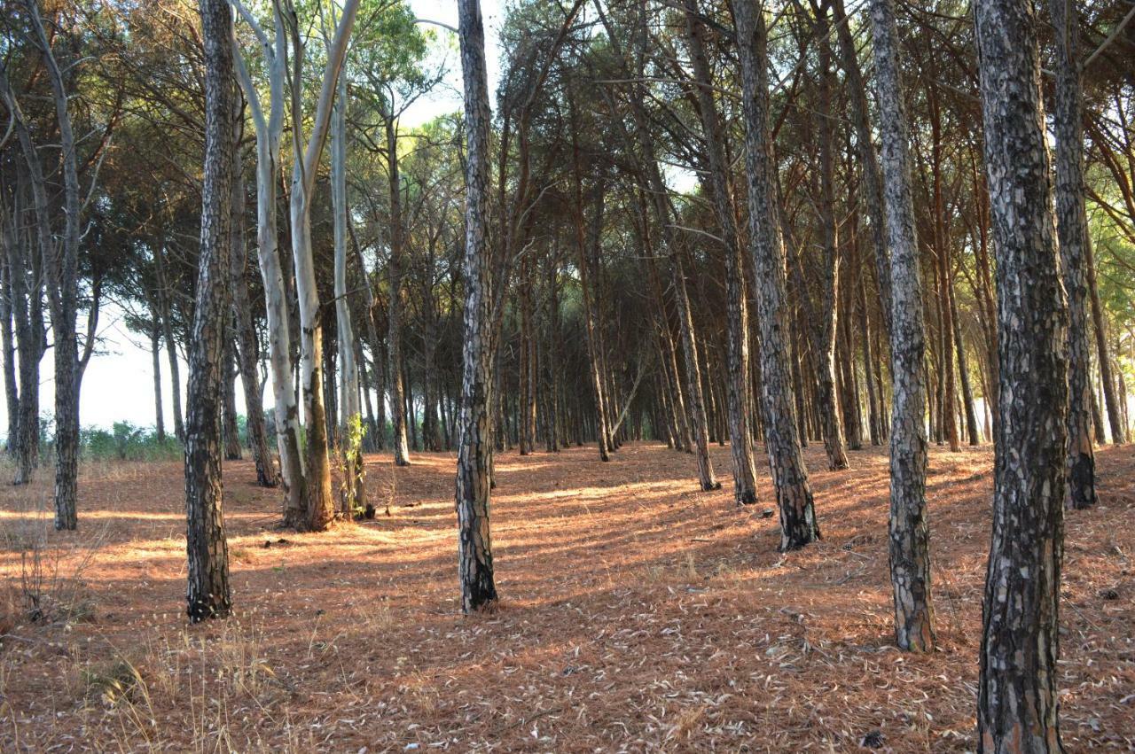 Oasi Del Governatore Appartement Squillace Buitenkant foto